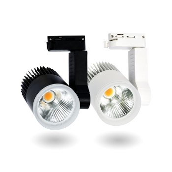 Đèn LED Rọi Ray Beryl 30W DTL-30SS-V/TT/T-T vỏ trắng Kingled