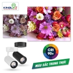 Đèn led đế ngồi rọi Spinel 10W DN-10SS-V/TT/T-D vỏ đen Kingled