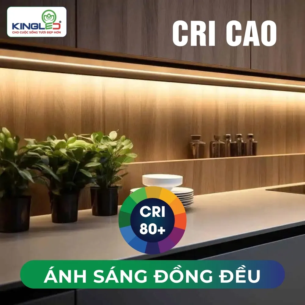 Đèn led dán DC 12W LDDC-12-COB-V/TT/T-24 Kingled